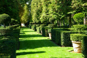 Le jardin à la française