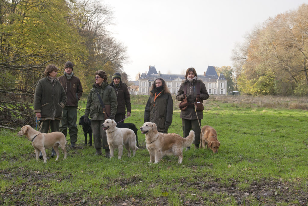 Battues avec chiens