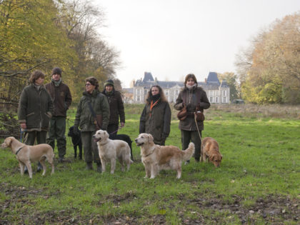 Grandes battues journée chasse faisans