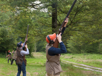 Chasse simulée 1