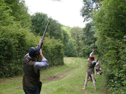 Chasse simulée 3