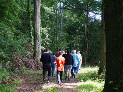 Séminaire en pleine nature Essonne