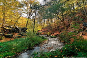 nature ile de france, seminaire insolite ile de france, seminaire entreprise original, seminaire ile de france, seminaire a la campagne, seminaire nature