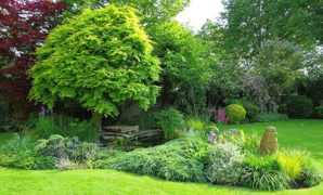 Les jardins à l’anglaise