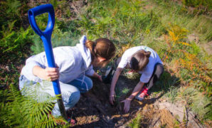 Les team building écologiques