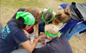 team building crash en forêt lost